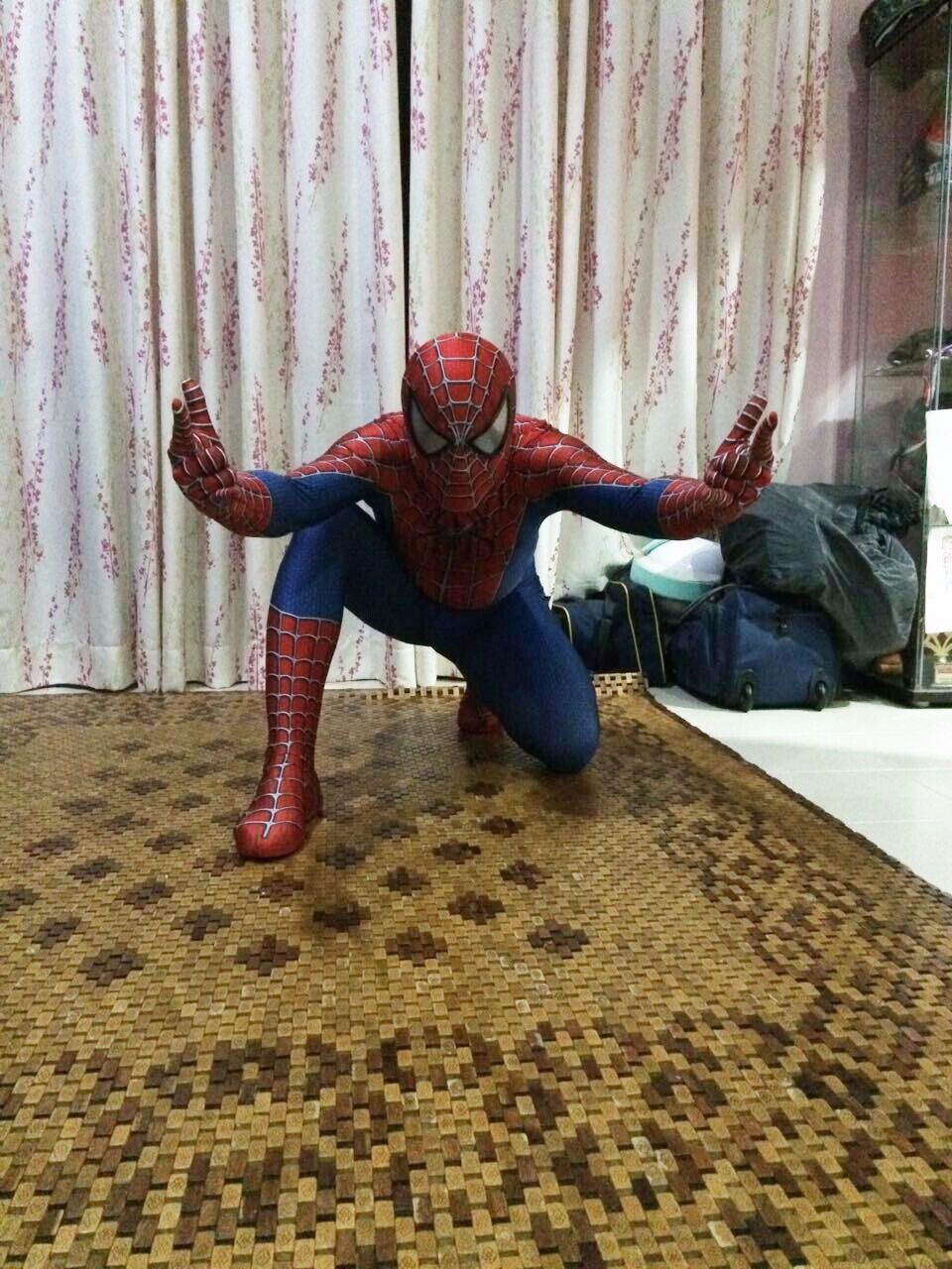 Amazing Spiderman Costumes Halloween 16081209